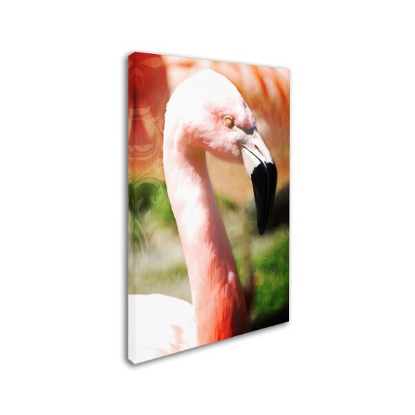 Tina Lavoie 'Pink Flamingo I' Canvas Art,30x47